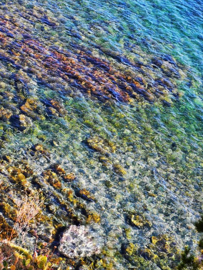 Caseta De Pescadors A Les Cales De Colera, 2ª Linea De Mar Esterno foto
